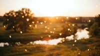 Romantic golden sunset landscape with floating heart-shaped bokeh lights over serene countryside and river creating dreamy atmosphere for love concepts.