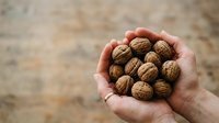 Close-up of a hand holding fresh walnuts in shell, showcasing organic nuts for healthy snacking, cooking, and nutritional content.