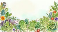 Isolated fresh vegetables and herbs arranged in decorative border design with lettuce, tomatoes, and flowering plants on white background for culinary and garden-themed projects.