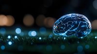 Glowing blue brain model on grass with bokeh lights in background, representing artificial intelligence, mind technology and cognitive science concepts.
