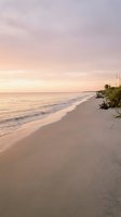 Serene beach at sunset with soft pink and purple sky reflecting on calm ocean waves and pristine sandy shore with coastal vegetation for travel and relaxation themes.