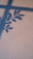 Soft blurred shadow of tropical plant leaves cast on pink wall creating dreamy atmospheric background for wellness and spa design concepts.