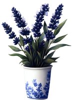 Purple lavender flowers in decorative white ceramic pot with blue floral pattern. Isolated botanical illustration on white background for home decor and design projects.