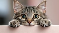 Curious tabby cat peeking over edge with wide green eyes and paws visible, showing playful expression against blurred background. Great for pet care and animal behavior concepts.