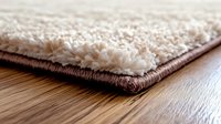 Close up view of plush cream colored carpet edge with brown binding on wooden floor, showing texture and thickness of soft shag rug material.