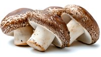 Fresh portobello mushrooms with brown caps and white stems arranged in artistic composition on white background, isolated food photography for culinary use.