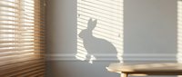Rabbit shadow cast on a white wall from sunlight through window blinds, creating a serene, minimalist interior atmosphere.