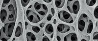 Abstract porous foam structure with organic holes and cavities in grayscale. Scientific microscopic texture for research, medical, industrial applications.
