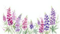 Watercolor lupine flowers in pink and purple hues with green leaves, botanical floral arrangement for spring garden designs and nature decorations.