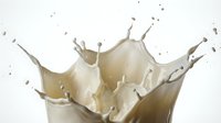 Creamy white milk splash with dynamic droplets and crown formation against clean background for dairy and beverage advertising campaigns.