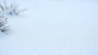 Fresh snow surface with dried grass blades emerging through white winter blanket creating natural minimalist winter landscape composition.