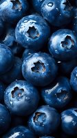 Fresh ripe blueberries with water drops in macro view showing detailed texture and natural blue color. For food packaging, healthy eating promotion.