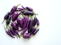 Fresh purple eggplants arranged in circular pattern on white background, organic vegetables for healthy cooking and Mediterranean cuisine recipes.