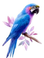 Vibrant blue and purple macaw parrot perched on branch with soft pink floral elements in watercolor style, isolated on white background for creative projects.