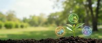 Young plant sprout with three circular icons representing water, earth, and air sustainability concepts growing from soil in natural outdoor environment.