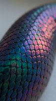 Iridescent reptile scales with holographic rainbow colors creating mesmerizing pattern on curved surface for fantasy and nature designs.