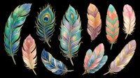 Colorful decorative feathers set isolated on transparent background, ready for t-shirt design, stickers, clipart, sublimation, and print on demand projects.