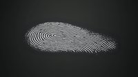 White fingerprint pattern on dark background for security, identity verification, forensic investigation and biometric authentication systems.