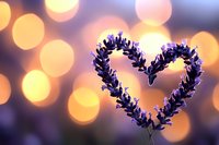 Heart shape formed by purple lavender stems against blurred golden bokeh lights background creating romantic mood and soft dreamy atmosphere.