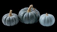 Blue-grey pumpkins isolated on transparent background, ready for design use on t-shirts, clipart, stickers, print-on-demand products, and sublimation projects.