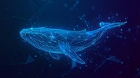Digital wireframe whale swimming in cosmic space with glowing blue network connections and particles on dark gradient background for technology concepts.