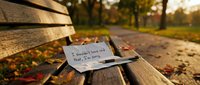 Handwritten apology note on a wooden park bench in autumn, with fallen leaves and a sunlit path in the background.