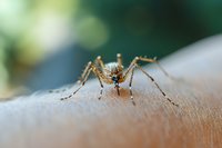 Extreme macro shot of jumping spider on human skin showing detailed eyes, legs and body features against blurred green background. Arachnid nature photography.