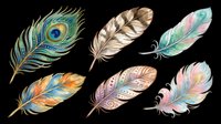 Colorful watercolor feather set with peacock and decorative plumes, isolated on transparent background, ready for stickers, t-shirt design, and print on demand.