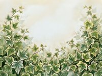 Botanical illustration of climbing ivy vines with green foliage and delicate tendrils on cream background, suitable for wallpaper, textile design, and botanical artwork projects.