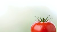 Fresh red tomato with green stem and water droplets on soft gradient background for healthy cooking and organic food concepts.