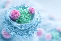 Microscopic view of cancer cell division showing mitosis process with chromosomes and cellular structures for medical education and research purposes.