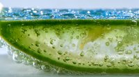 Fresh lime slice in sparkling water with bubbles, macro view showing citrus texture and effervescence for beverage and cocktail concepts.