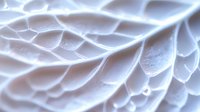 Ethereal white petals create abstract macro pattern with soft curves and delicate textures in monochromatic tones, highlighting natural organic shapes and light gradients.
