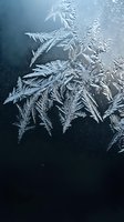 Intricate frost patterns forming delicate fern-like crystals on glass surface creating natural winter artwork with ethereal blue tones and organic textures.