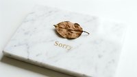 Marble sympathy card with gold Sorry inscription and dried autumn leaf, elegant condolence stationery on white background.