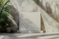Minimal scene with white square podium against textured wall, palm plant in terracotta pot casting natural shadows, modern aesthetic composition.