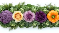 Fresh vegetables and flowers arranged in line on kale leaves background showing gradient color transition from purple cauliflower through roses to orange pepper.