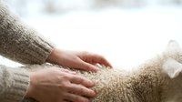 Young child with light skin tone touching soft beige knitted fabric or sweater, conveying warmth, comfort and tactile sensory experience for parenting, childcare and textile marketing.