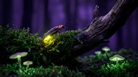 Magical firefly glowing among moss and mushrooms in enchanted forest setting with purple atmospheric lighting for fantasy and nature themes.