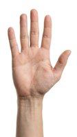 Male hand showing open palm with five fingers spread isolated on white background for communication and gesture concepts.