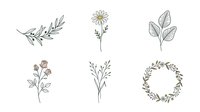 Botanical line art illustrations featuring delicate hand-drawn plants, flowers, and leafy branches in minimalist style. Isolated elements on transparent background, ready for design projects.