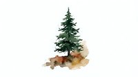 Watercolor evergreen pine tree with autumn leaves isolated on white background for seasonal design projects and nature-themed artwork.
