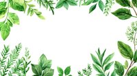 Fresh green leaves and branches frame on white background, watercolor botanical border with lush foliage and herbs, isolated design element for wedding stationery.