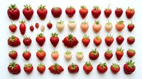 Red and white strawberries arranged in rows on isolated white background, ready for design use, packaging, and culinary projects.