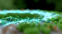 Glowing turquoise network lines creating abstract wave pattern against blurred natural green background, representing digital connectivity and nature fusion.
