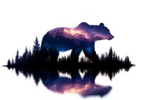 Double exposure silhouette of bear with forest landscape and starry night sky reflected in calm lake water, creating mystical wilderness scene for nature artwork.