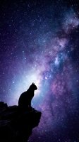 Cat silhouette sitting on rock cliff against stunning purple blue starry night sky with milky way galaxy for astronomy and nature backgrounds.