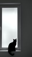 Black cat silhouette sitting by modern window frame against minimalist gray wall interior, domestic pet waiting indoors for cozy home atmosphere.