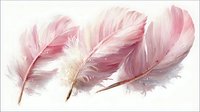 Delicate pink feathers arranged in a row on white background, showcasing soft texture and gentle color gradients for feminine design projects.