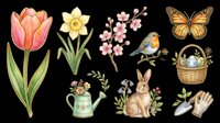 Watercolor spring clipart set with tulip, daffodil, cherry blossom, robin, butterfly, bunny, Easter basket, watering can, and garden tools, isolated on transparent background for stickers and print on demand.
